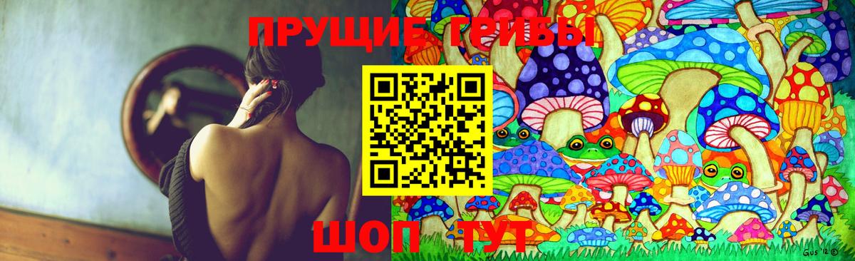 Псилоцибиновые грибы мицелий  Псилоцибиновые грибы GOLDEN TEACHER  Можга  Вход с VPN 